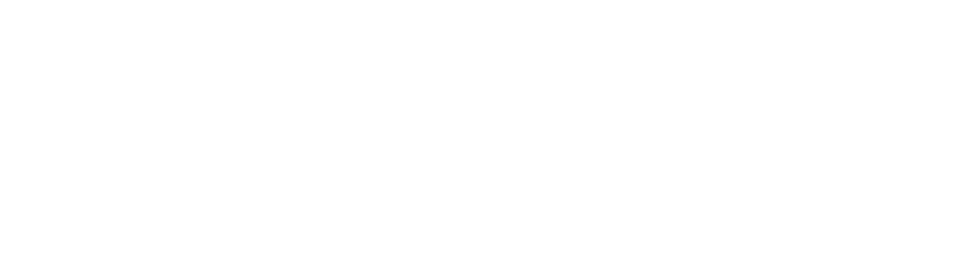 Brisbane Airport Corporation Logo